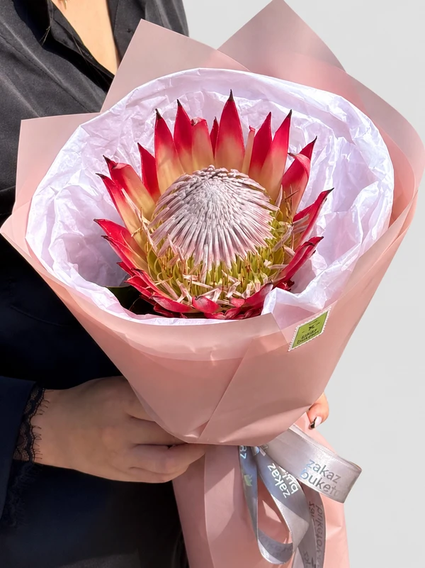 Букет "Protea"